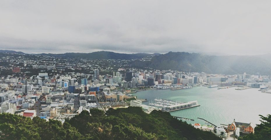 Landscape shot of Wellington harbour, there are lots of commercial and residential buildings.