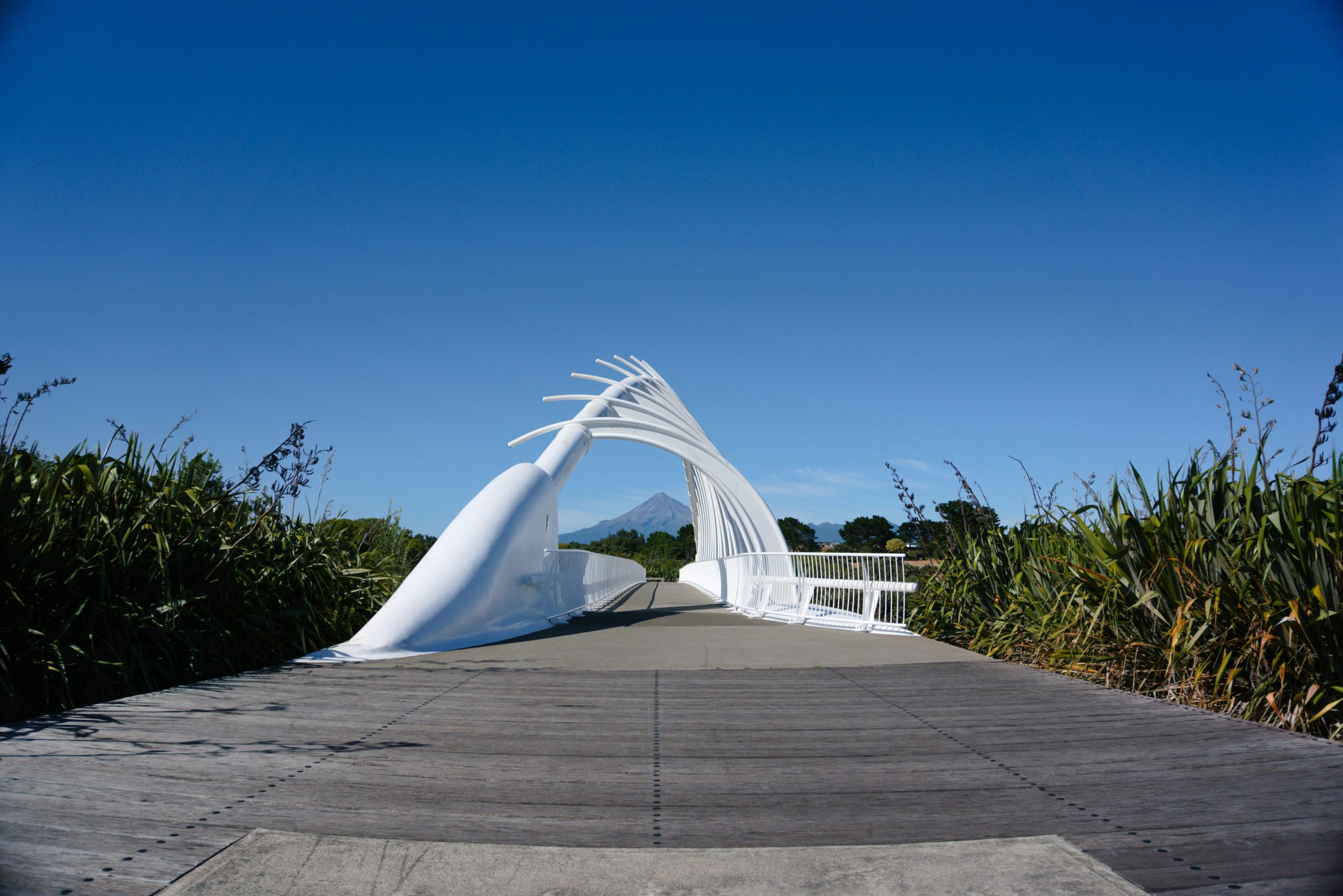 White sculptural bridge in the middle of a bath with flax on the left and right.