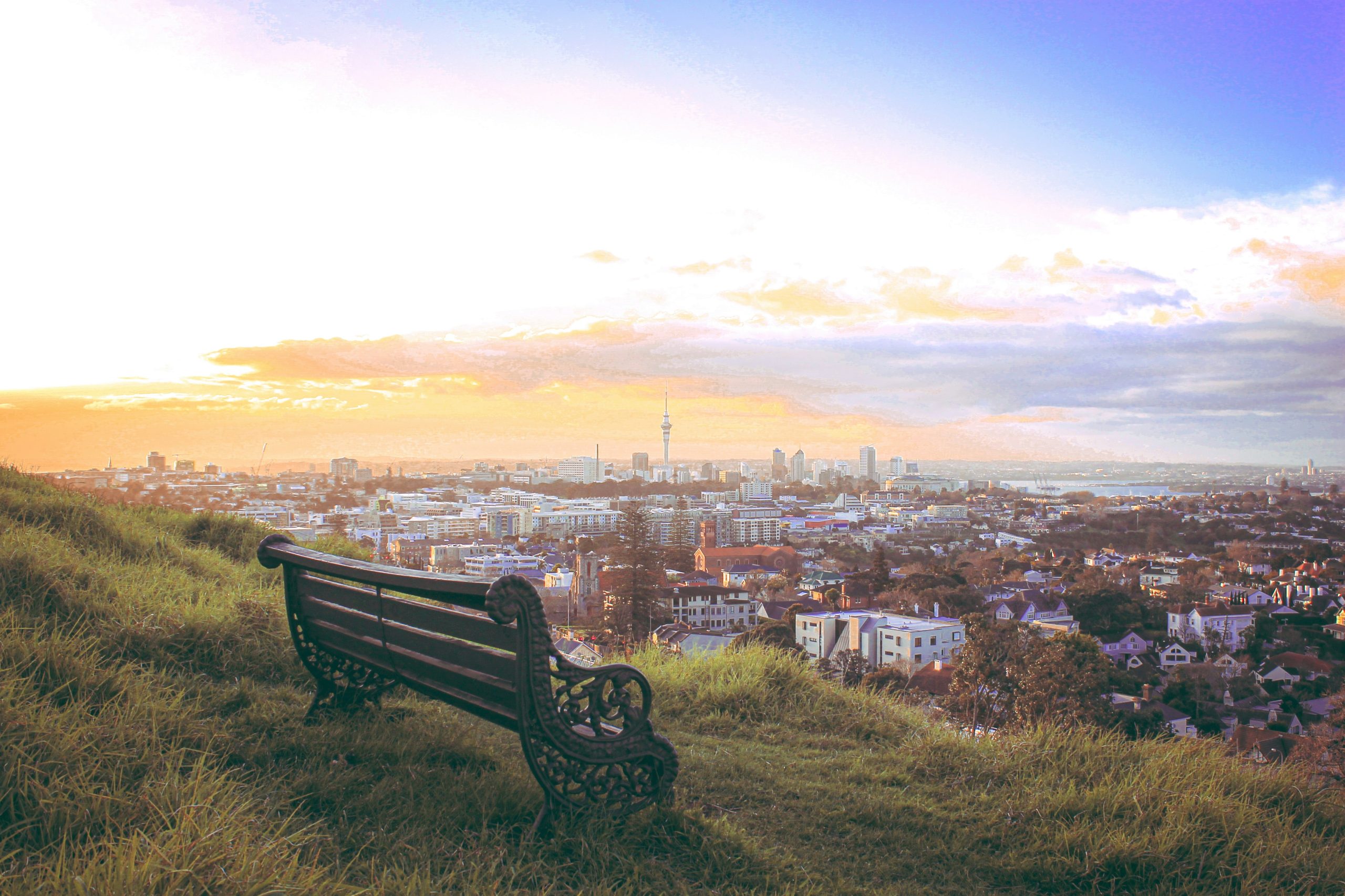 View of the Auckland cityscape with a bench on a grassy hill at the front