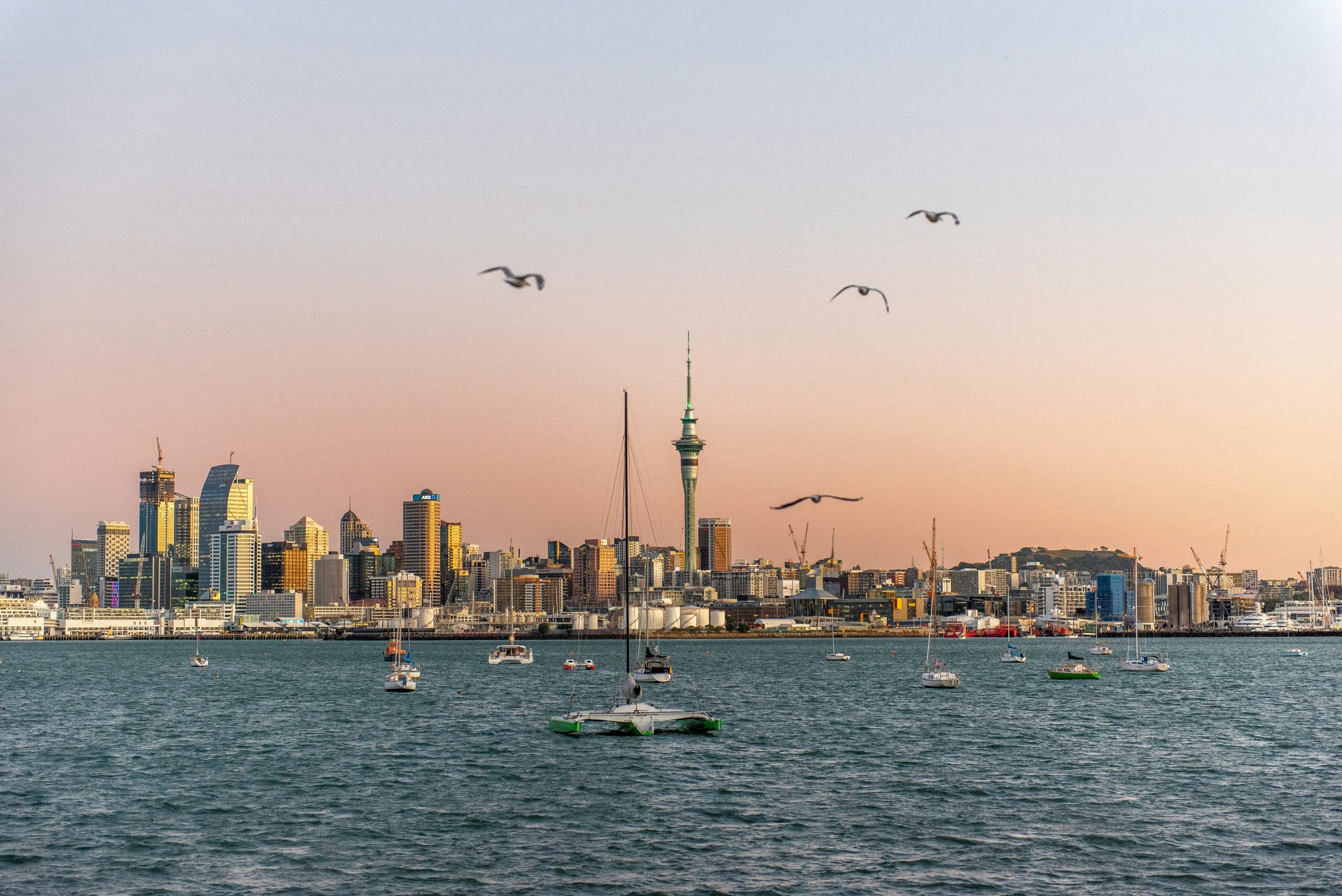 View of the Auckland cityscape across the water at sunset