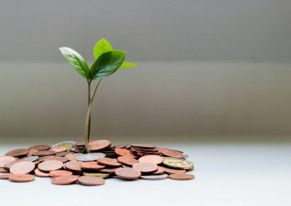 A small plant growing from a pile of coins