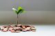 NGO Disability Grants