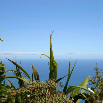 New Diagnosis, What Now - Kāpiti Coast- Care Matters Workshop