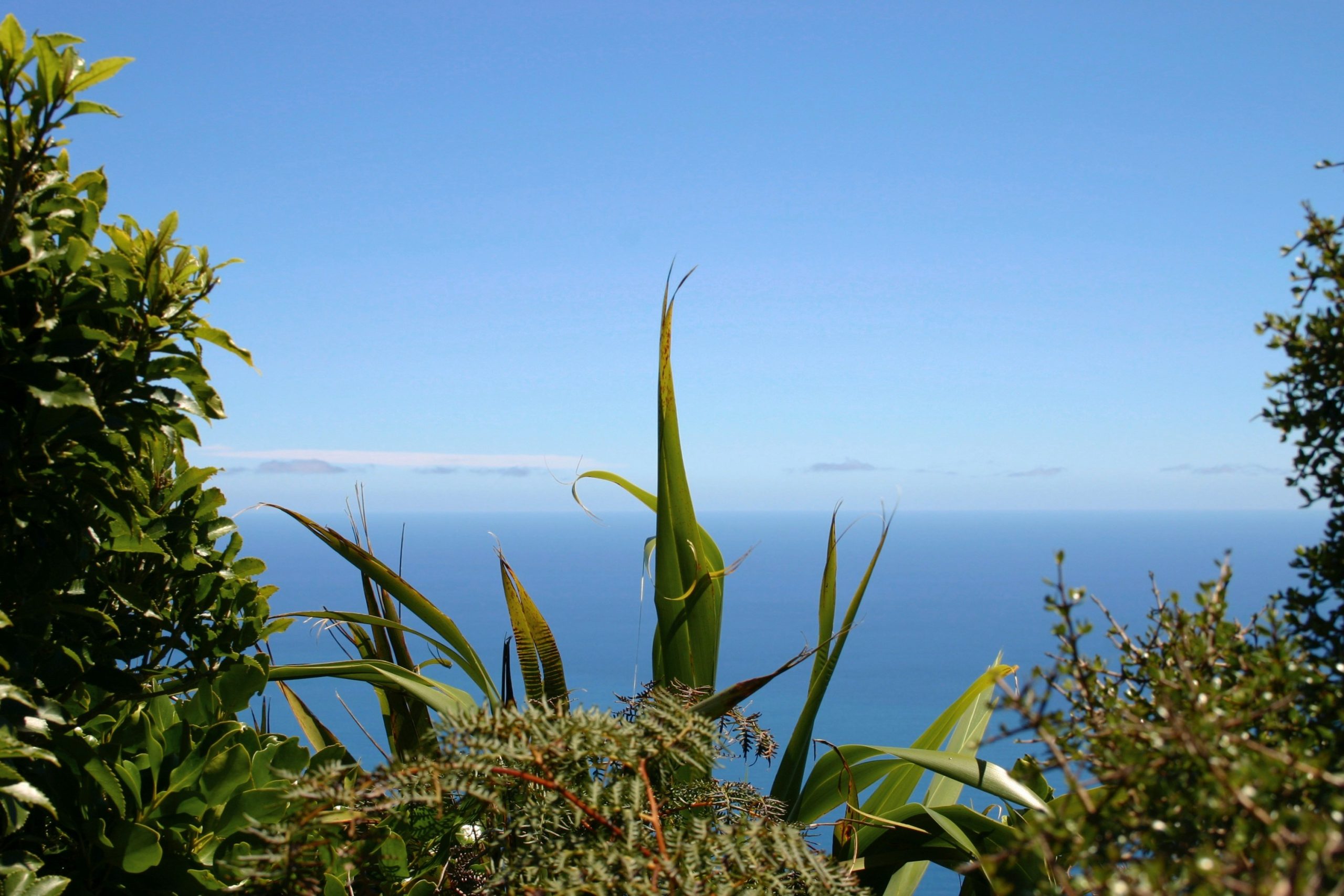 View from Kapiti Island, looking at blue skies and water