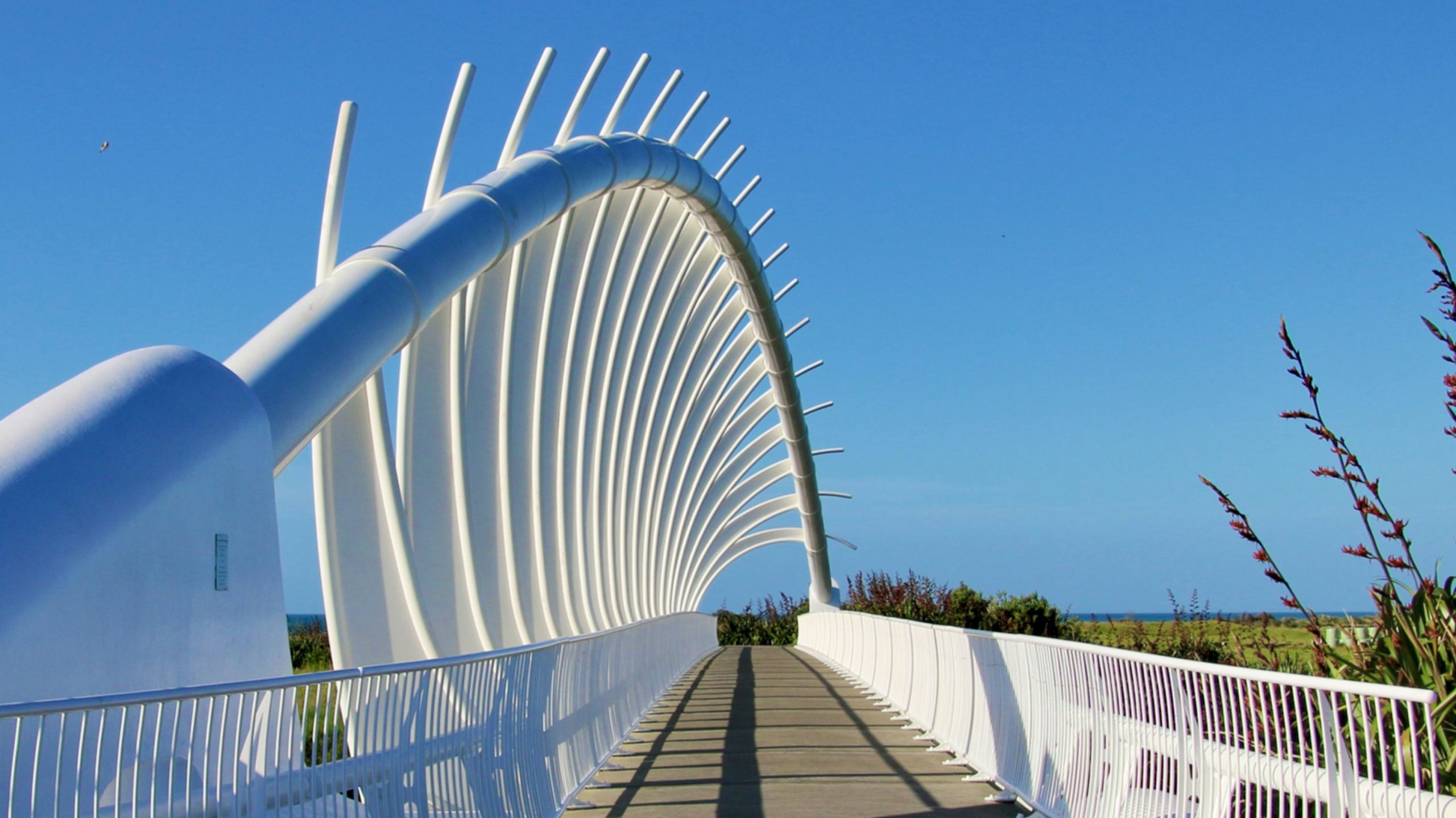 White sculptural bridge in New Plymouth