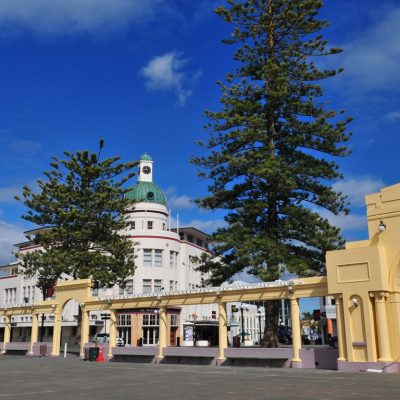 Napier Care Matters Workshop
